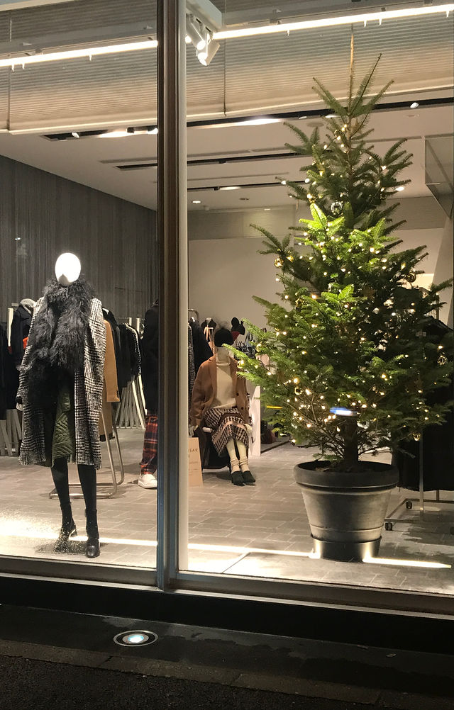 クリスマスツリー用のもみの木　根無し‼️お客様ご注文品♪ クリスマスツリー用根無しもみの木‼️お客様ご注文品♪ モミの