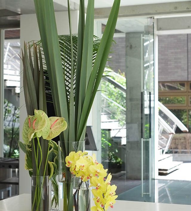 8月の切花 旬の花選び Iconicflower アイコニックフラワー 8月の切花 旬の花選び Iconicflower アイコニックフラワー