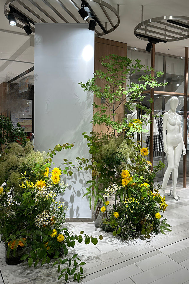 Shop flower display