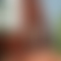 บ้านป้อมเพชร (Ban Pomphrt)