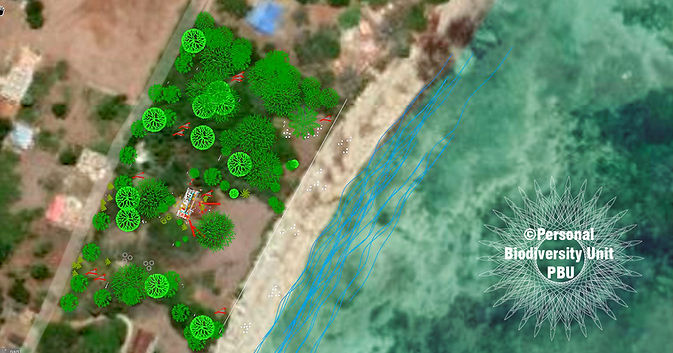 ©Personal Biodiversity Unit - PBU sateli