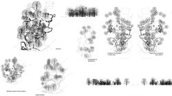 Lolwapa of Gabs_Page_111