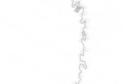 PhD%20D%20Batista%20Yohannes%20Isometric