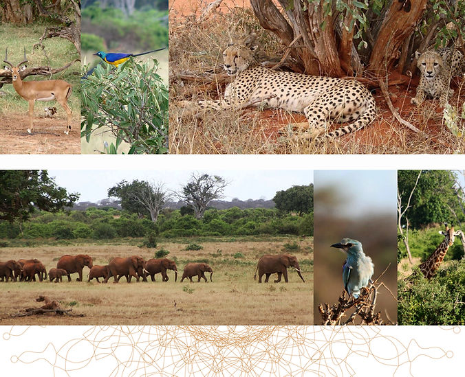 19 &19a_Members of world second PBU C.jp