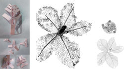 PhD D Batista SDII DM II part II FSW_Pa