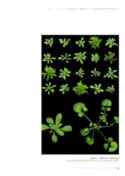 PhD D Batista SD II_DM II_part II inv ma