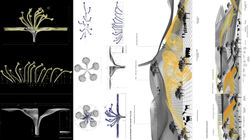 PhD D Batista SDII DM II part III FSW_P