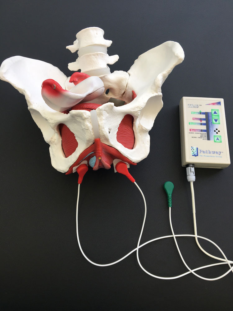 What Happens in a Prenatal Pelvic Floor Therapy Session