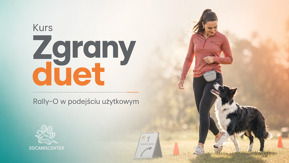 🐾 Kurs - Zgrany duet