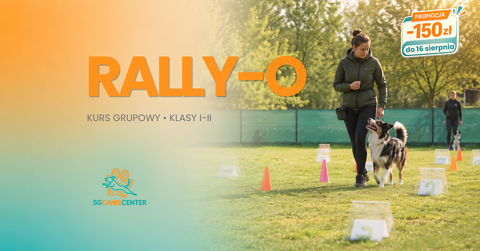 Kurs Rally-O – klasa I i II
