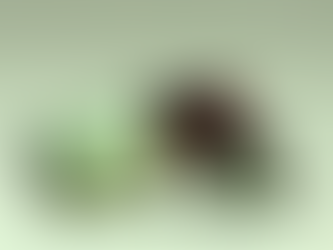 FEATURED ESSENTIAL OIL PLANT THERAPY’S DEFENDER