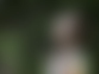 The ABCs of Keeping Allergens Out