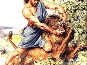 CUSTOM CARE FOR YOUR PETS