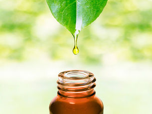 Blending for Beginners: A Closer Look at Essential Oils & How to Use Them