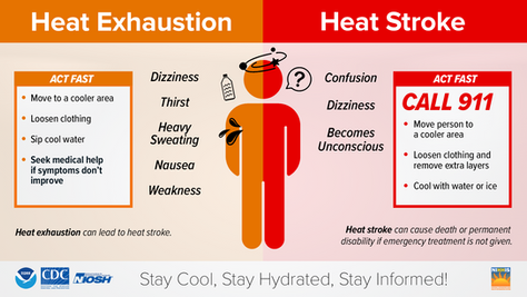 Summer Heat Tips