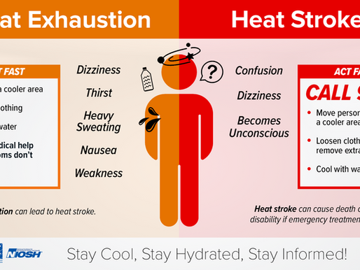 Summer Heat Tips