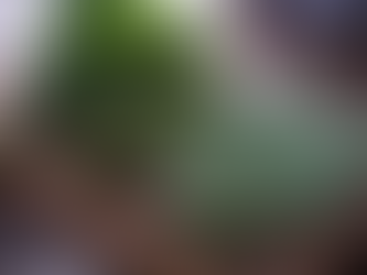 FREE Blending Class: The Power of Herbs