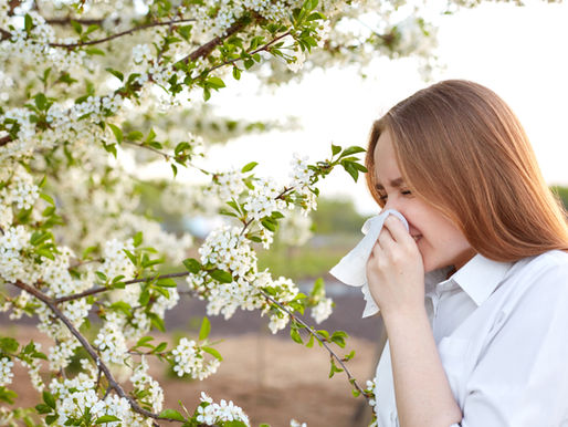 Do Spring Blooms Bring Sneezing Gloom? Here’s What to Do About It