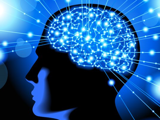 HEALTHY BRAIN FUNCTION