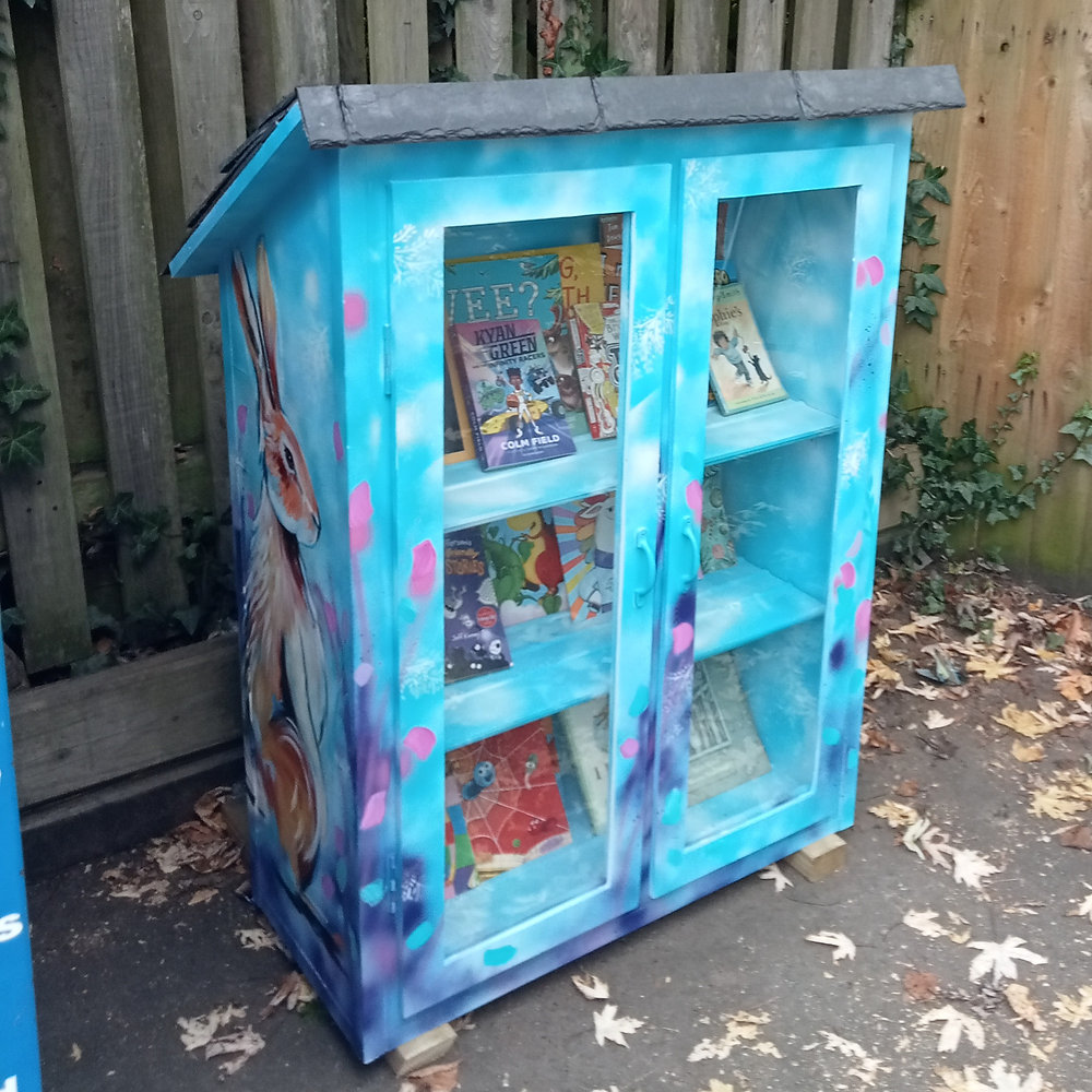 Pinhoe Library New Little Library at Pinhoe CofE School