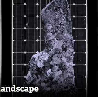 Museum Meet-up at the RAMM