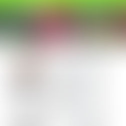 Exwick Newsletter - Winter 2025