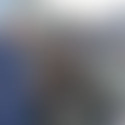 Working with the Whipton Community Builder