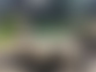 St Leonards Table Tennis Group