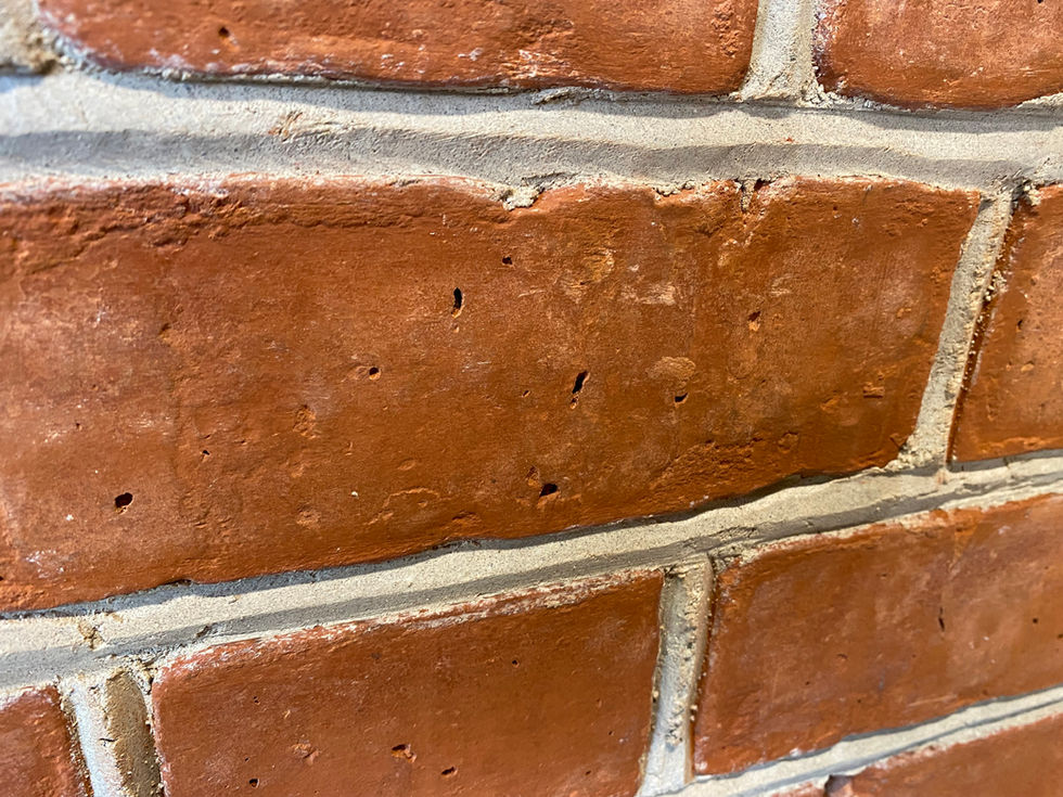 expert specialised lime pointing