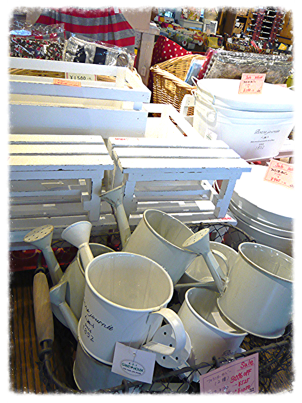 P1070390_edited.JPG