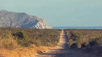 route-en-gravier-dans-la-baja-california.webp