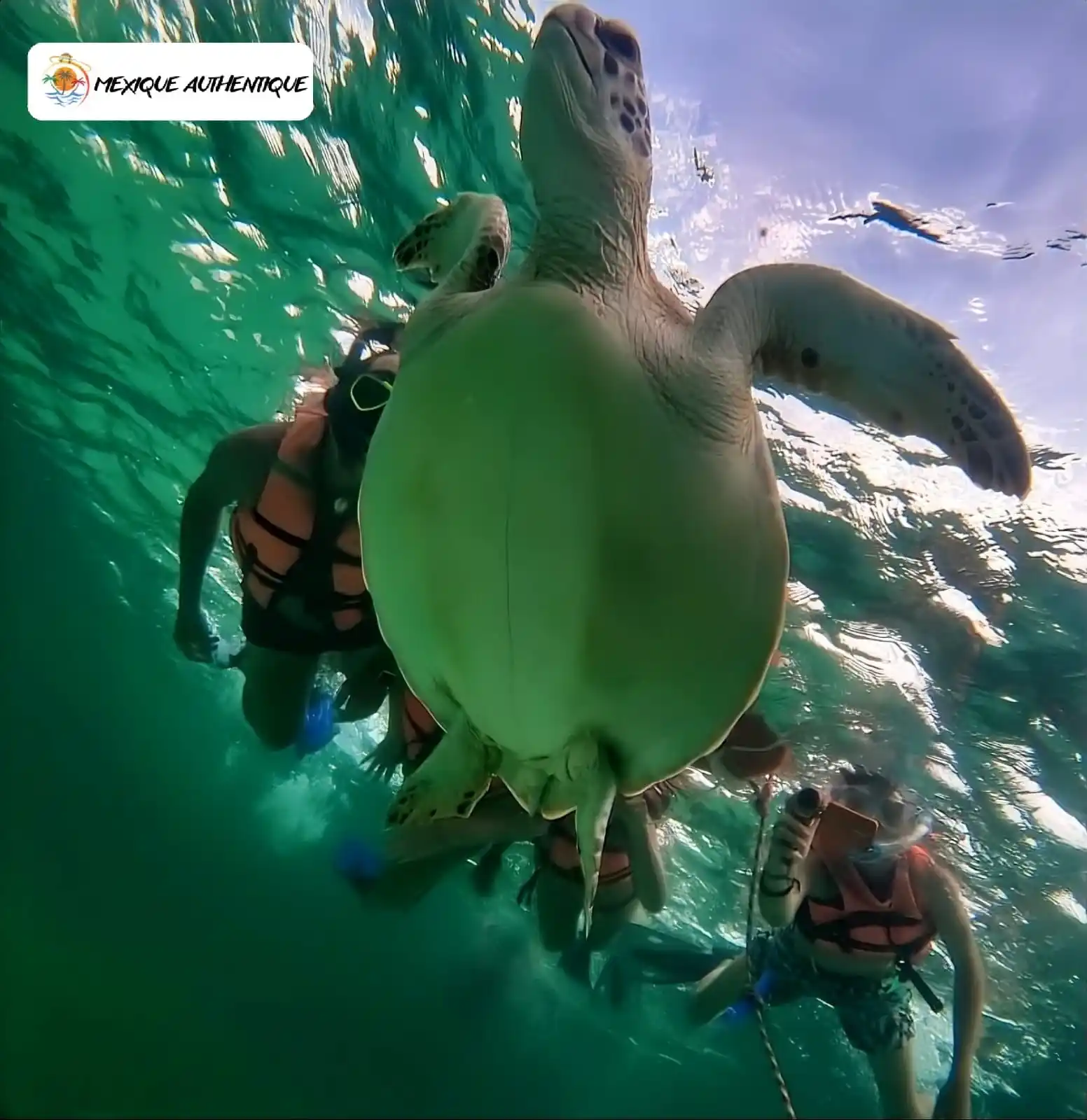 Snorkeling ร Mahahual en petit groupe privรฉe