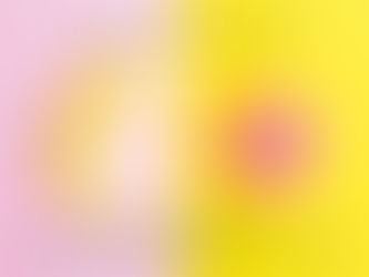 Day 7: Choice to Choose