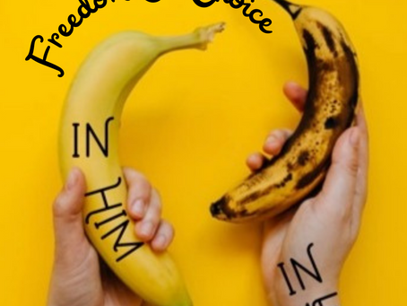 Day 11: Free Choice