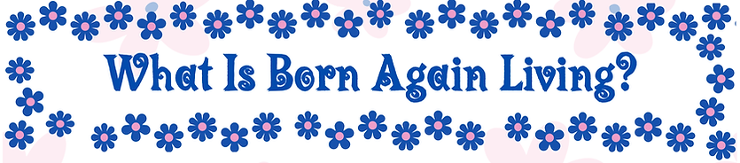 What is Born again living.png