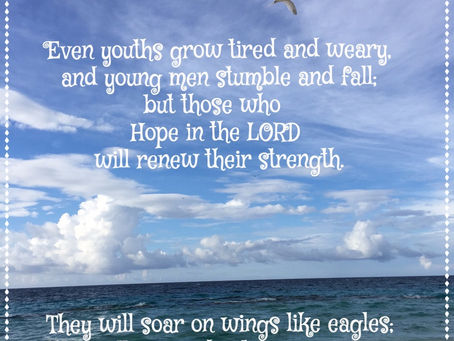 Day 25: Soar Above