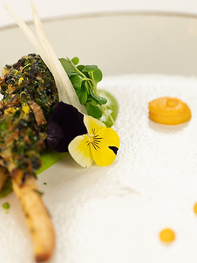 De Levensboom-23.jpg