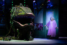 Little Shop of Horrors