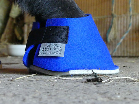Hufpantoffel, Filzpantoffel, Filzschuh Pferd