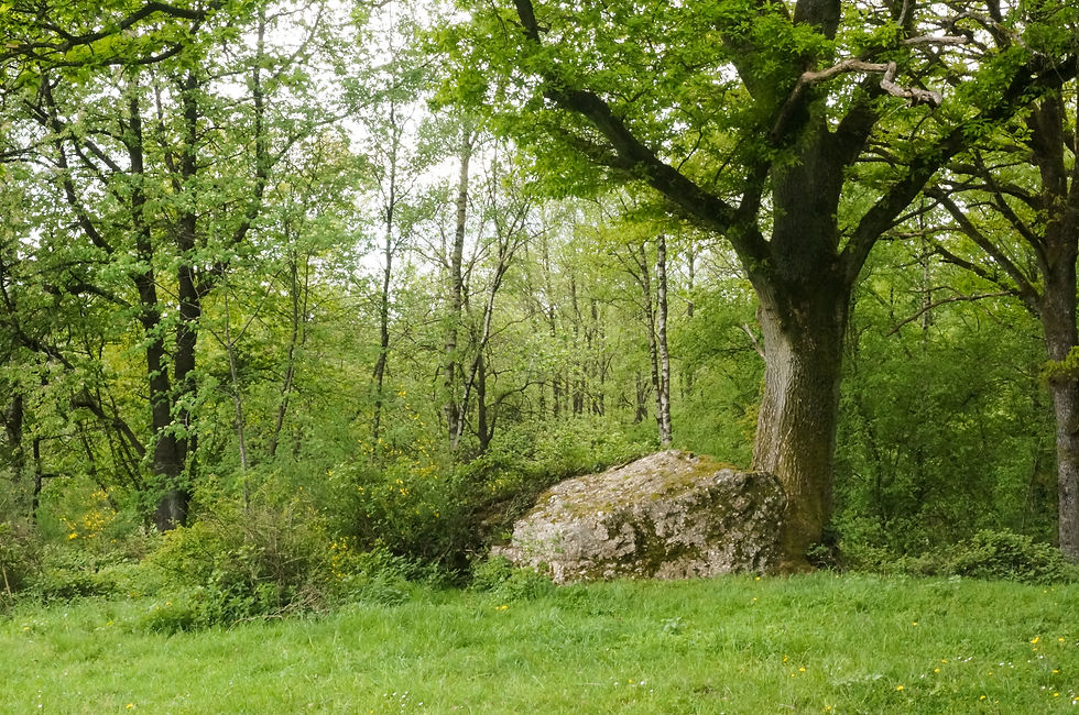 20180431_Stage_Ardenne-Sacree-56