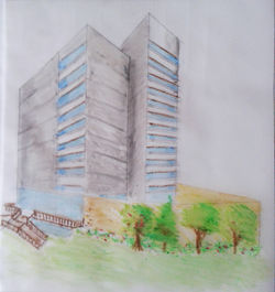 Projeto III