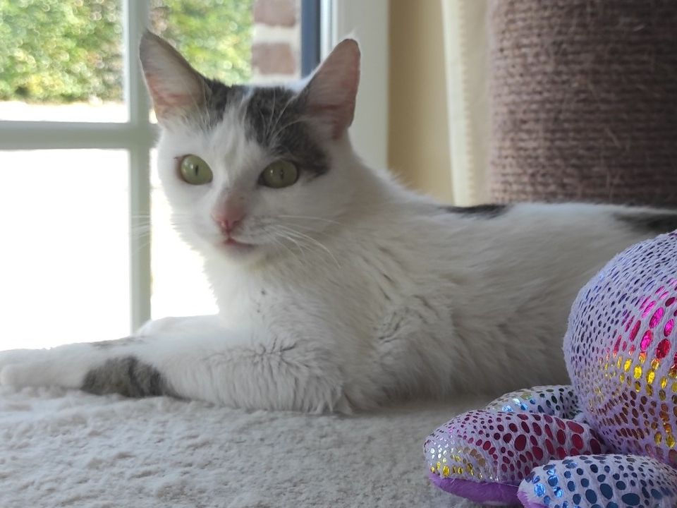 Ella
