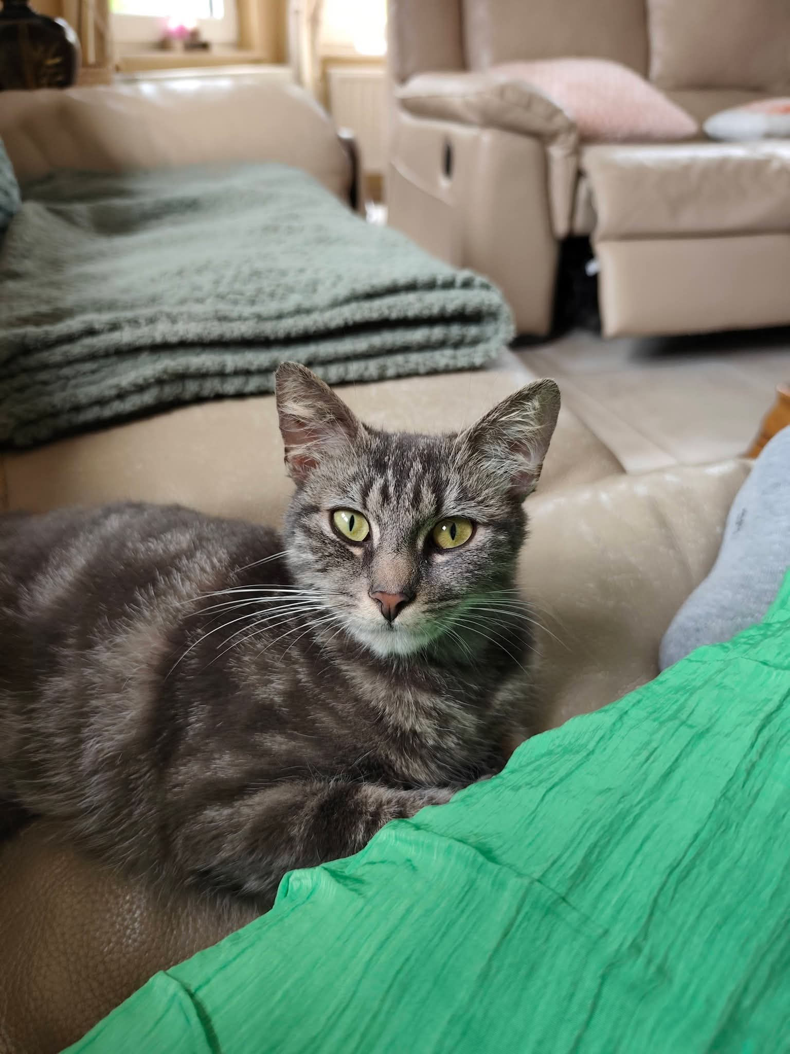 Mimi
