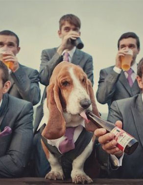 Veselé svatební fotografie: Zachyťte nezapomenutelné okamžiky plné smíchu a radosti