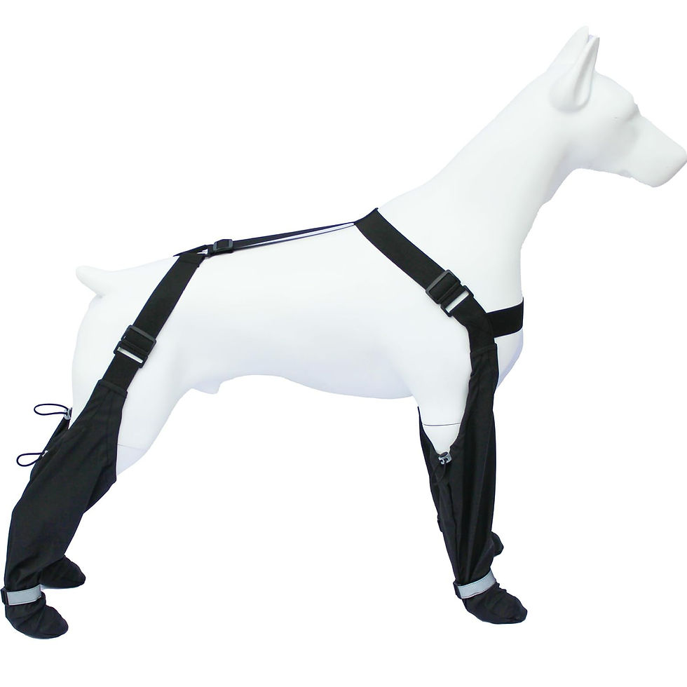 yucca Dog Suspender Booties, Paw Boot Leggings Anti-Slip, Pe - Image 1