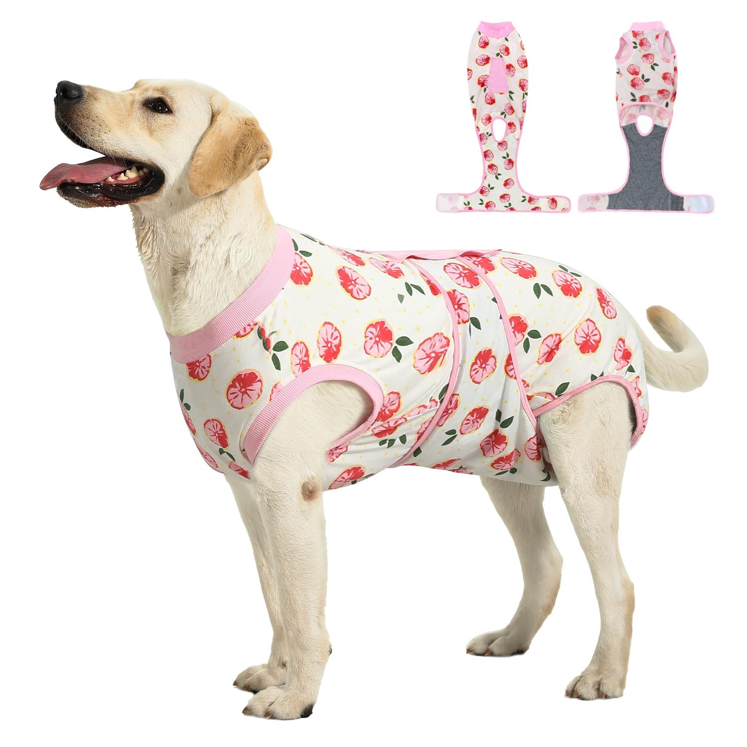 Recovery Suit for Dogs Cats After Surgery, E-Collar & Cone A - Image 1