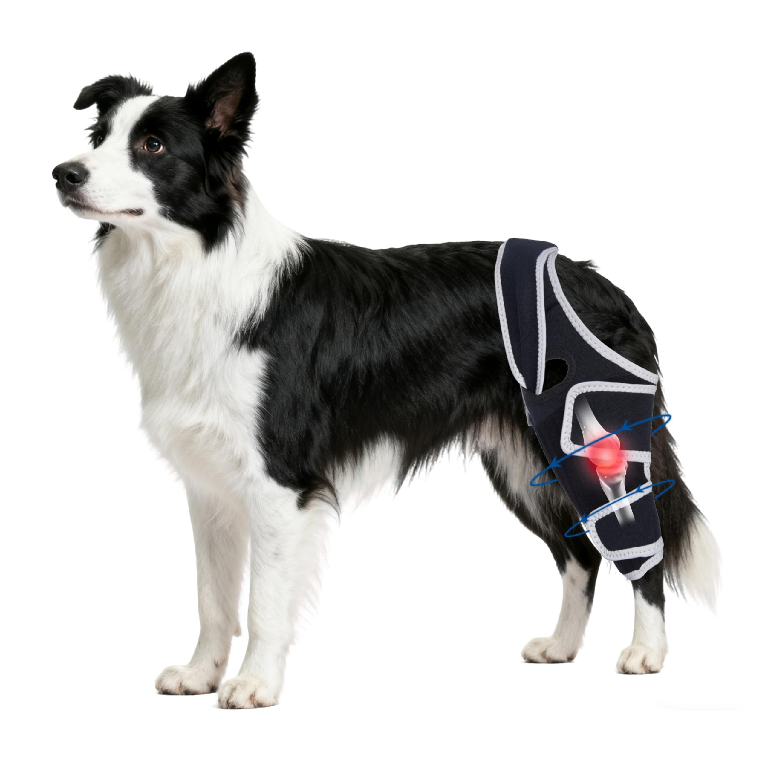 Moysoon Dog Knee Brace for Torn Acl Hind Leg,Adjustable Four - Image 1