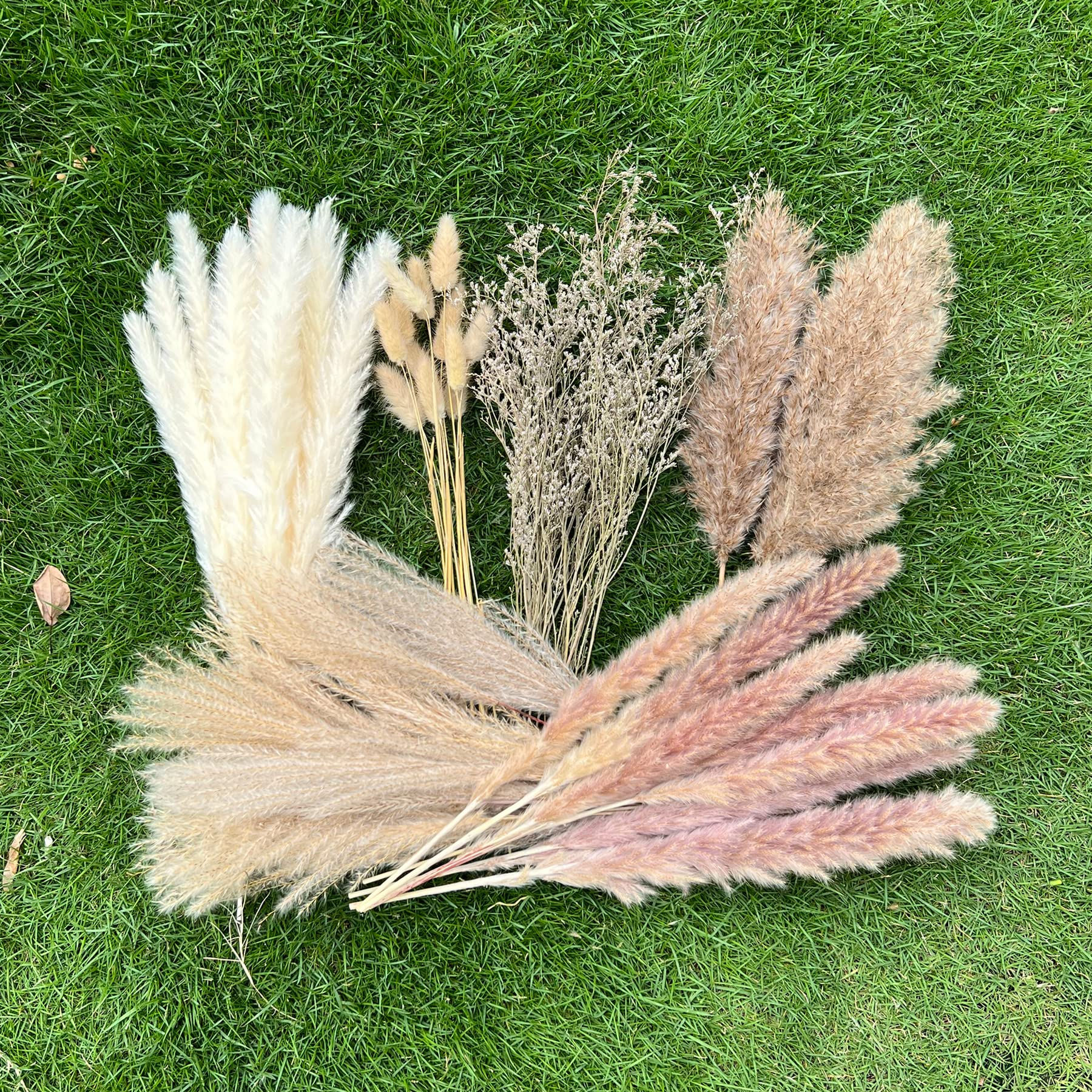 100Pcs Pampas Grass Boho Home Decor 17 inch Natural Dried Flowers with Bunny Tai
