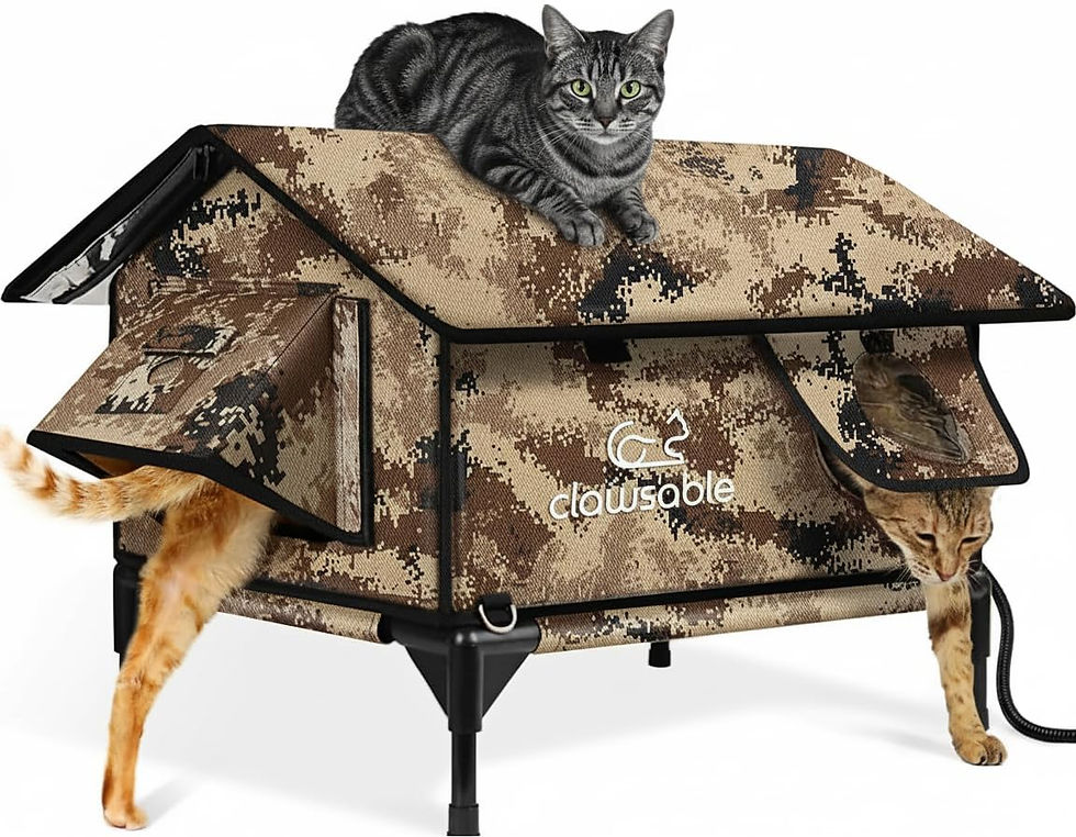 Indestructible Gable Roof Heated Cat House for Outside Winter, 100 Percent Water