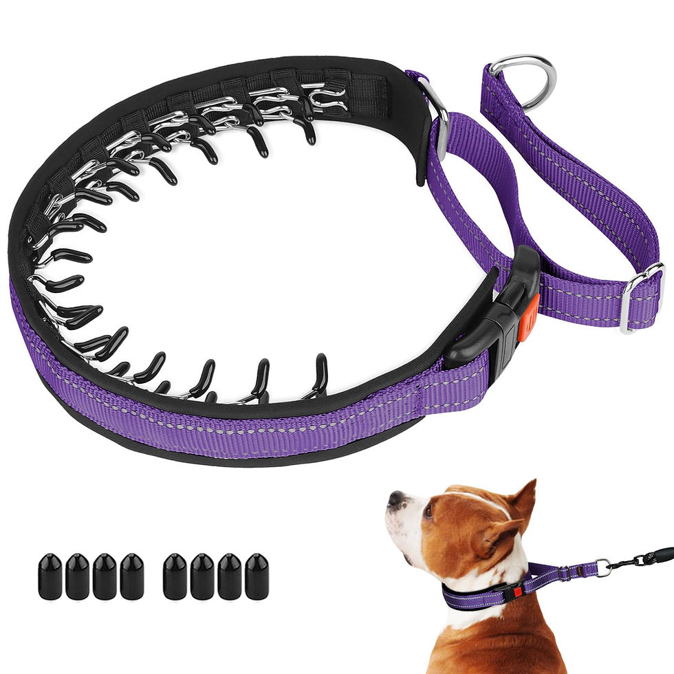 Mayerzon Martingale No Pull Collar for Medium Large Dogs, Patented Anti Pull Dog